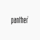 Panther