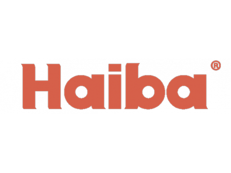 Змішувач для кухні Haiba Focus 004 (25 см)